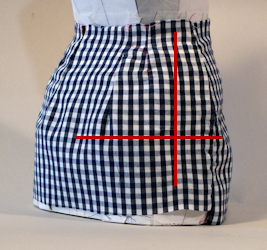 Lower Torso Side Back