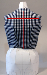 Upper Torso Center Back
