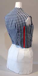 Upper Torso Side Back