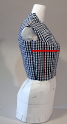 Upper Torso Side Front